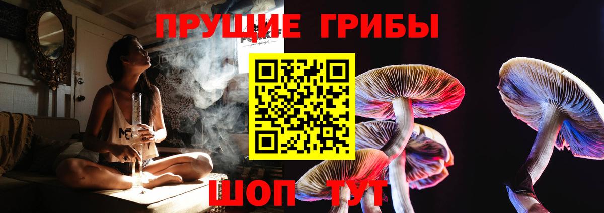 Псилоцибиновые грибы Magic Shrooms Балахна