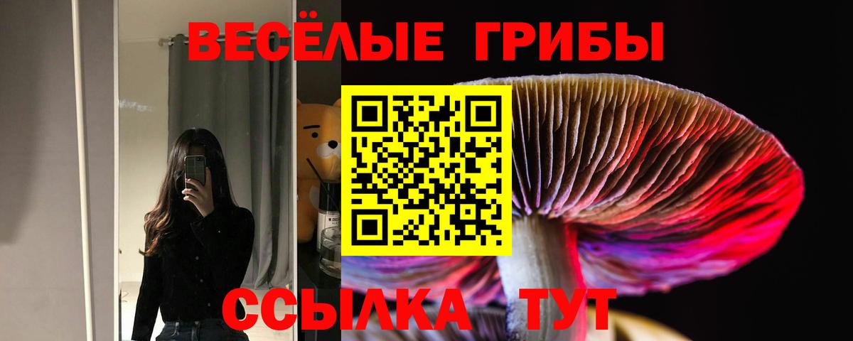 Балахна  Псилоцибиновые грибы Magic Shrooms  Псилоцибиновые грибы Magic Shrooms  Вход с VPN 